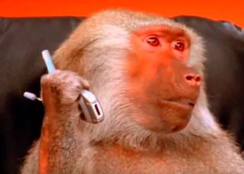 جب امریکی بندر نے کی ایک ایمرجنسی سروس پر کال