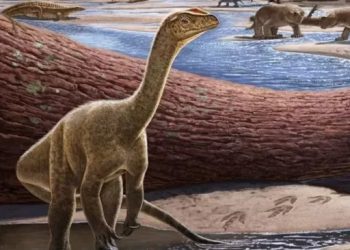 زمبابوے میں افریقہ کے 23 کروڑ سال پرانے ڈائناسور کی دریافت