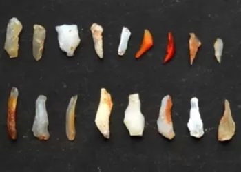 مہاراشٹر کے غار سے دسیوں ہزار سال پرانے پتھر کے اوزار کی برآمدگی