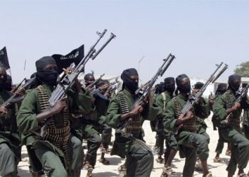 صومالیہ میں 200سے زائد الشباب کے دہشت گردمارے گئے