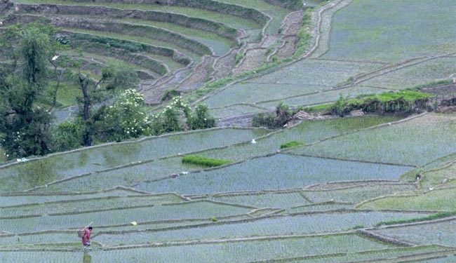 نیپال میں سیلاب اور لینڈ سلائیڈنگ،33 افراد ہلاک