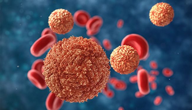 کرناٹک میں زکا وائرس کا معاملہ سامنے آیا