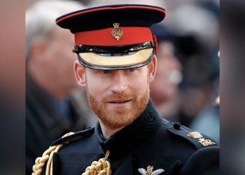 برطانوی شہزادہ ہیری کا شاہی خاندان پر سنگین الزام