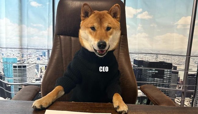 ٹوئٹر کا نیا سی ای او حیرت انگیز!