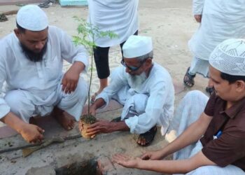 سعادت گنج میں شجرکاری پروگرام منعقد