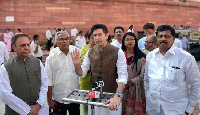 جی این سی ٹی ڈی بل غیرجمہوری، غیر آئینی اور ناقابل قبول: راگھو چڈھا