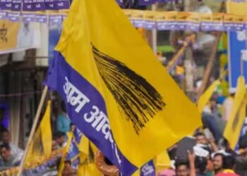 آپ نے چھتیس گڑھ اسمبلی انتخابات کے لیے 10 امیدواروں کا اعلان کیا