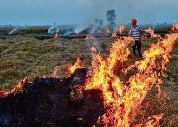 ہریانہ سے دہلی آرہا ہے پرالی کا دھواں:آپ