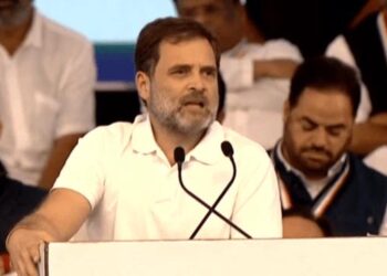 کانگریس میں ہر شخص کی بات سنی جاتی ہے: راہل