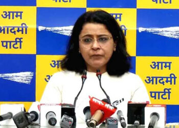 مینوفیکچرنگ سیکٹر میں مسلسل گراوٹ پرپرینکا ککڑکی تشویش