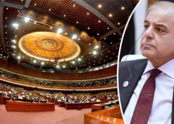 شہبازہوں گے پاکستان کے وزیر اعظم