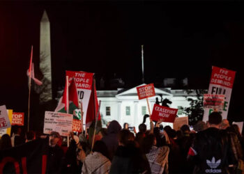 فلسطین کی حمایت میں واشنگٹن سمیت کئی ممالک میں مظاہرے