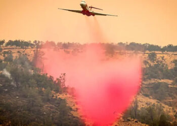 امریکی ریاست کیلی فورنیامیں تاریخ کی سب بڑی آتش زدگی