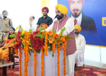 ملک کے سبز انقلاب میں پنجاب نے اہم کردار ادا کیا: مان