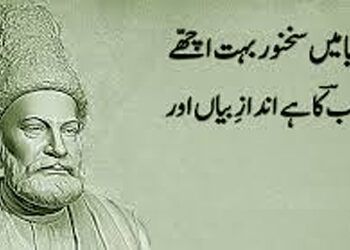 غالب کی شاعری کو مختلف زاویوں سے پڑھنے کی ضرورت: سید سجاد حسین