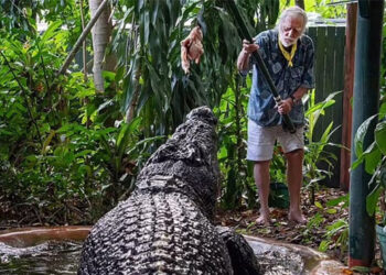 مگر مچھ کے  94سالہ شکاری کی  موت