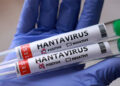 ہنتا وائرس سےتین اموات کے بعد مچی کھلبلی